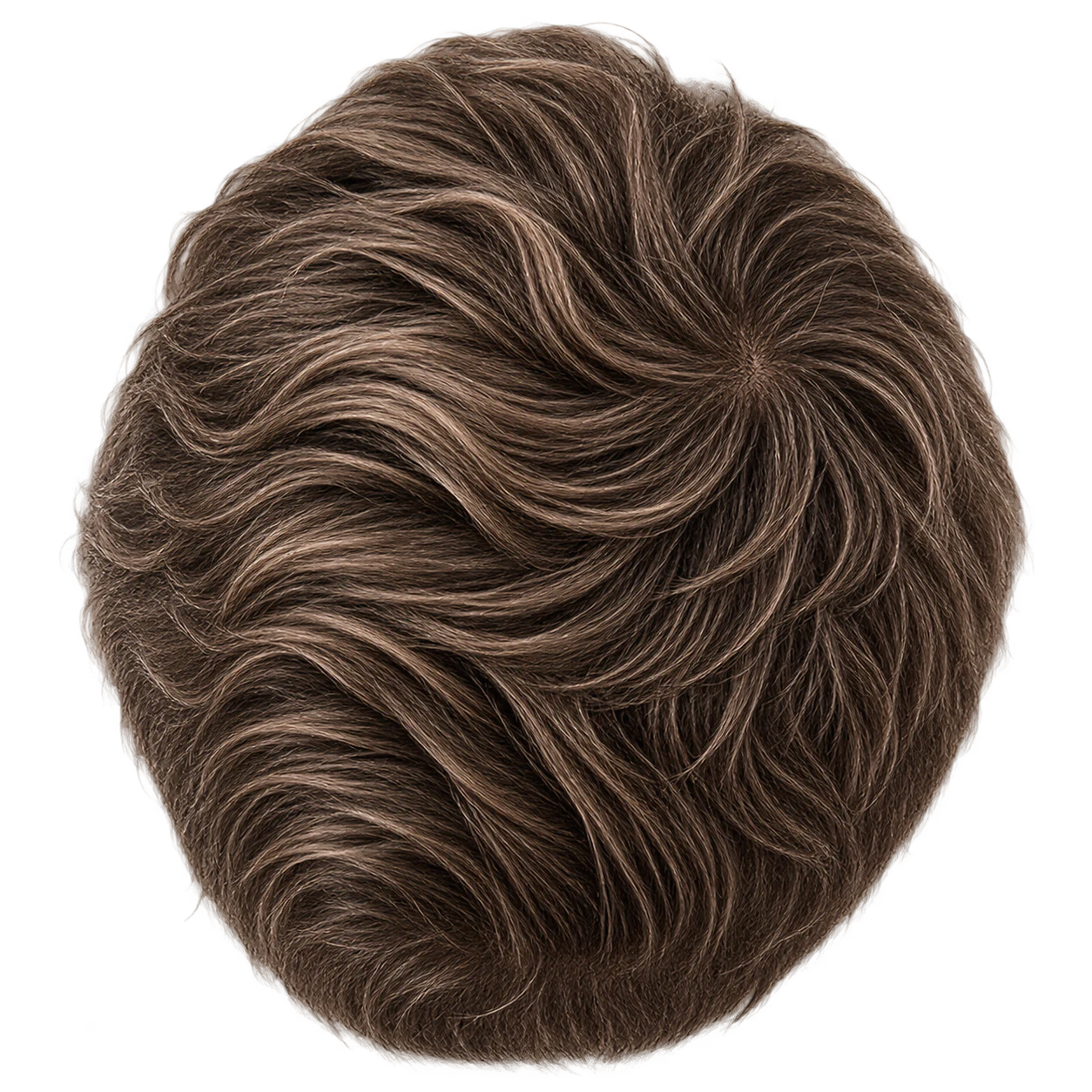 Top-down view showing graduated crown density and whorl placement
